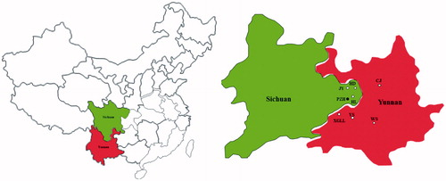 Figure 1. Ectomycorhizosphere soil and ascocarp sampling sites in southwestern China. CJ: Chengjiang County; HD: Huidong County; HL: Huili County; JY: Jinyang County; WS: Weishan County; XGLL: Xianggelila County; YS: Yongsheng County.