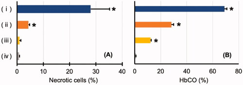 Figure 5. (A) Comparison of the degree of hippocampal cell damage. (B) Level of carbonyl haemoglobin (HbCO). (i) Carbon monoxide (CO) poisoning group after CO inhalation, (ii) CO-bound haemoglobin vesicles (CO-HbV) 50 group after CO-HbV administration, (iii) CO-HbV25 group after CO-HbV administration, and (iv) control group. *Significant difference compared to the control group (p < .05).