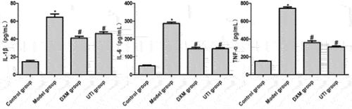 Figure 5. Effects of UTI on levels of IL-1β, IL-6 and TNF-α in BALF of LPS-induced rats. *Compared with control group, P < 0.05; #compared with model group, P < 0.05.