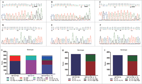 Figure 1. Sequence analysis for UGT1A1 *28 and *6 and distribution of UGT1A1*28 and/or *6 genotype among all screened cases (n = 499). Sequencing results for UGT1A1 *28 and *6 using the FinchTV software were: (A) *1/*1 genotype; (B) *1/*28 genotype; (C) *28/*28 genotype; (D) *1/*1 genotype; (E) *1/*6 genotype; and (F) *6/*6 genotype. Distribution of UGT1A1*28 and/or *6 SNPs: the overall distribution of UGT1A1*28 and *6 SNPs by separate or synchronous identification is shown in (G). It should be noted that there were 10 cases of *1/*1-*6/*6, 8 cases of *28/*28-*1/*1, 2 cases of *1/*28-*6/*6, and 1 case of *28/*28-*1/*6 genotype combination in (H) and (I), which could be identified as wild type or heterozygous by one locus detection.