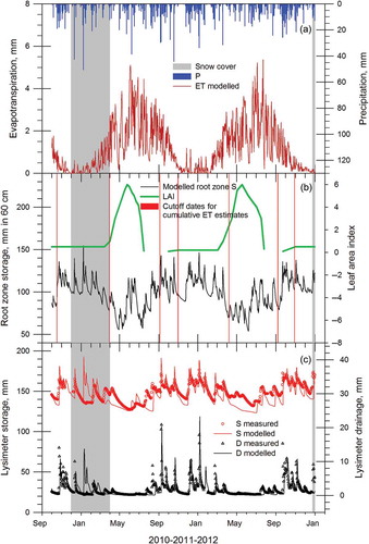 Fig. 5 Validation period for the lysimeter water flow model: (a) precipitation and modelled evapotranspiration; (b) modelled root zone storage, leaf area index and cut-off dates for comparison of ET estimates; and (c) measured and modelled lysimeter storage and drainage.