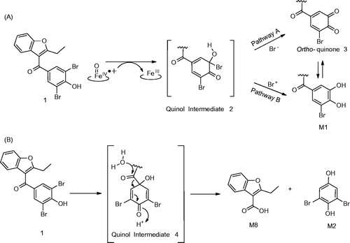 Figure 2. Proposed mechanisms for formation of metabolite M1 (A) and M2 (B).