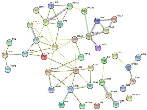 Figure 5 DEGs PPI network.