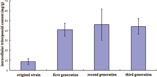 Figure 3. Comparison of intracellular triterpenoid content between the original strain and mutants.