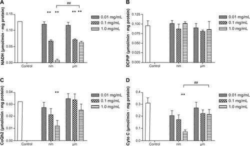 Figure 6 Effects of SiO2 particles on the mitochondrial respiratory chain complexes I (A), II (B), III (C), and IV (D) of BRL cells after treatment for 24 hours.Notes: The results are presented as the mean ± standard deviation of three independent experiments performed in triplicate. **P<0.01 versus the control; ##P<0.01 versus micrometer SiO2 particles.Abbreviations: CoQ, coenzyme Q; Cyto C, cytochrome C; BRL, buffalo rat liver; NADH, nicotinamide adenine dinucleotide; DCPIP, 2,6-dichlorophenolindophenol.