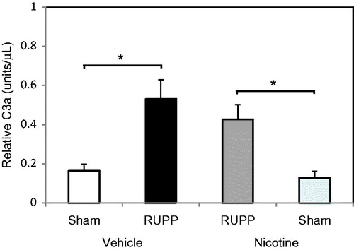 Figure 3. Nicotine does not affect the placental ischemia-induced increase in circulating C3a. C3a serum concentration is increased in RUPP Vehicle (n = 7) versus Sham Vehicle (n = 7). Treatment with 1 mg nicotine/kg/day over a 5-day period did not attenuate the RUPP (n = 8) increase in C3a compared to Sham (n = 8). *p < 0.05.