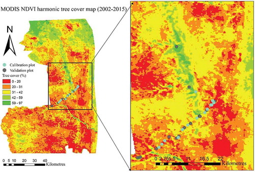 Figure 8. Tree cover map (2002–2015) from the phase of the strongest MODIS NDVI harmonic term for the part of study area (KNP).
