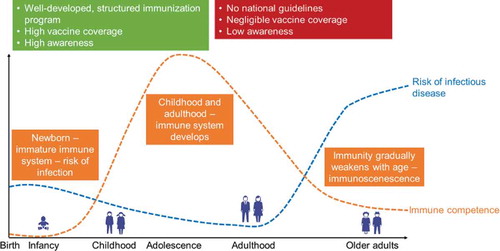 Figure 3. How immune competence, risk of infectious disease, immunization programs, vaccine awareness, and vaccine coverage vary with age.