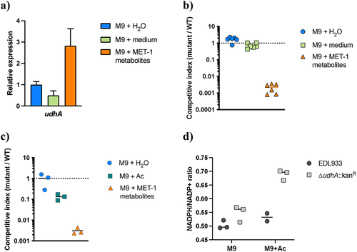 Figure 7. UdhA promotes EHEC growth in the presence of microbiota metabolites including acetate. (a) RT-qPCR analysis of udhA expression during EHEC growth in MET-1 microbiota culture supernatant and minimal and rich medium controls. Data represent mean and standard deviation of three biological replicate cultures per condition. (b) and (c) Competitive growth of EDL933 and ΔudhA:kanR in MET-1 microbiota culture supernatant and minimal and rich medium controls (b), or M9-glucose minimal medium with and without 40 mM acetate (c). Competitive index is calculated as the proportion of mutant cells at the end of growth divided by the proportion of mutant cells at the beginning of growth. (d) Ratio of intracellular reduced NADPH to oxidized NADP+, measured using the EnzyChrom NADP+/NADPH Assay Kit. Wild-type and ΔudhA::kanR EHEC strains were grown in M9-glucose minimal medium with and without 40 mM acetate. Data represent the mean of two to three biological replicate cultures per strain and medium condition.