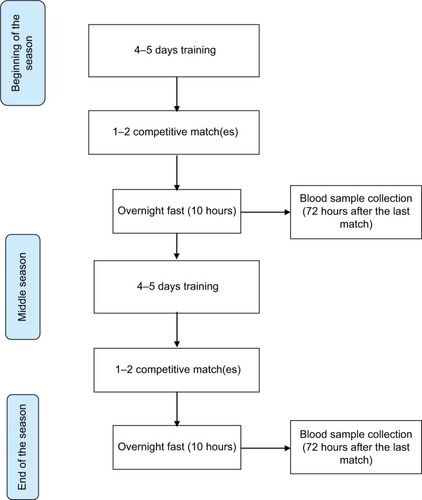 Figure 1 Flowchart of the current study.