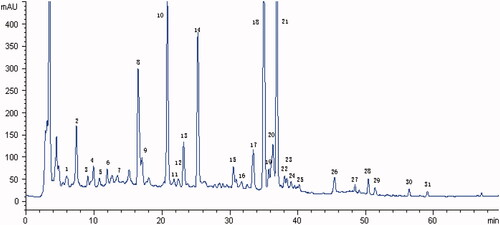 Figure 1. HPLC fingerprint graph of JWSNS. The HPLC fingerprint graph of JWSNS showed 31 common characteristic peaks: one peak (1) belonged to Rehmannia glutinosa; one peak (7) belonged to Lycium barbarum L.; eight peaks (3, 4, 5, 6, 9, 10, 20, 23 and 25) belonged to Gardenia jasminoides Ellis; eight peaks (2, 8, 12, 13, 14, 16, 20 and 27) belonged to Paeonia lactiflora; 14 peaks (11, 15, 17, 18, 19, 20, 21, 22, 24, 26, 28, 29, 30 and 31) belonged to Aurantii Fructus. Compared with reference substance, peaks 10, 14, 18 and 19 were respectively identified as geniposide, paeoniflorin, naringin, hesperidin.