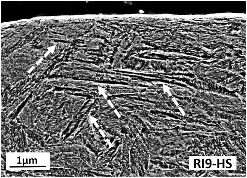 Figure 7. Micrograph of RI9-HS with distinct features.