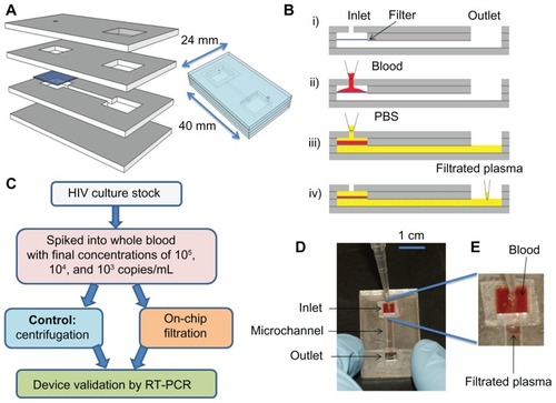 Figure 1 (A–E) Design of the size-based filter microchip. (A) Assembly of a size-based filter microchip; (B) functionality of the size-exclusion-based filter microchip (i) cross-section of the assembled device, (ii) injection of blood into the inlet through a pipette, (iii) injection of PBS into the inlet chamber to wash platelets and plasma through the microchannel and into the output channel, (iv) collection of plasma from the outlet; (C) the experimental chart for validation of virus recovery using filter microchips; (D)the device during filtration; (E) close-up of the plasma separated by the filter membrane.Abbreviations: PBS, phosphate-buffered saline; RT-PCR, reverse transcriptase–polymerase chain reaction.