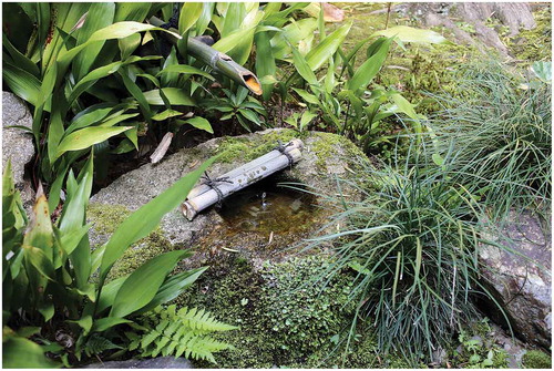 Figure 5. A single drop of water breaking the surface of a chozubachi in Funda-in temple, Kyoto.