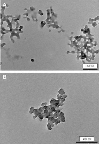 Figure 1 Transmission electron micrographs of CHX-HMP-5 (A) and CHX-HMP-0.5 (B) nanoparticles.Note: Scale bar 200 nm.Abbreviations: CHX, chlorhexidine; HMP, hexametaphosphate.