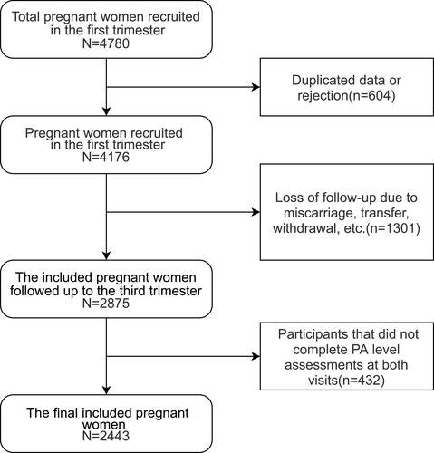 Figure 1 Flowchart of the selection process for the final included pregnant women.