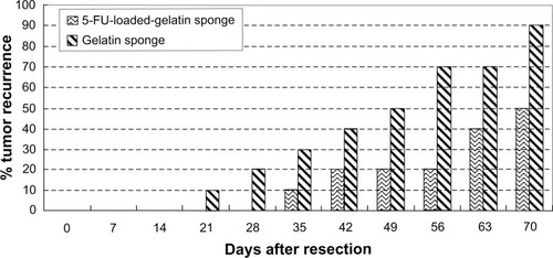 Figure 6 The effect of tumor recurrence after resection with the use of 5-fluorouracil gelatin sponge and gelatin sponge alone.Abbreviation: 5-FU, 5-fluorouracil.