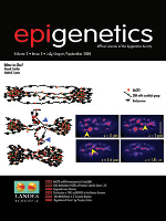 Cover image for Epigenetics, Volume 2, Issue 3, 2007