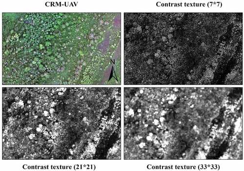 Figure A2. GLCM texture (Contrast) differences in details caused by the window sizes.