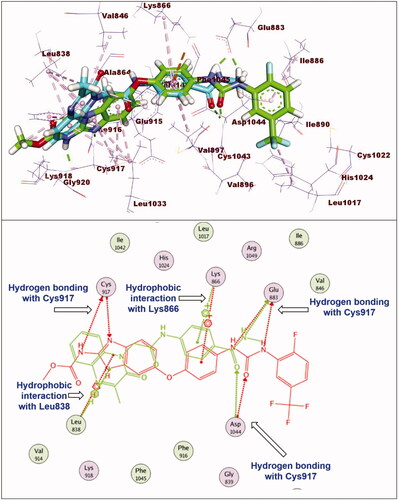 Figure 7. Superimposition of compound 11a and sorafenib inside the active sites of VEGFR-2. Compound 11a showed binding mode similar to that of sorafenib with lack of hydrophobic interaction inside the allosteric binding pocket and absence of hydrogen bonding interaction with Cys917 at hinge region.