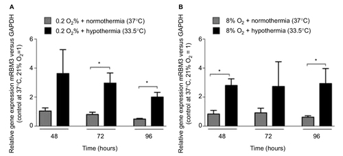 Figure 6 Expression of RBM3 mRNA in SK-N-SH exposed to 0.2% O2 (A) or 8% O2 (B) for 24 hours followed by normothermia/hypothermia for 24, 48, or 72 hours (total 48, 72 and 96 hours, n=3, *p<0.05).