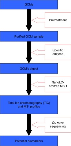 Figure 2 Novel strategy proposed for the discrimination of GCMs.Abbreviations: GCM, gelatinous Chinese medicine; MSn, multi-stage mass spectrometry; NanoLC-orbitrap MSD, nano-flow liquid chromatography in tandem with orbitrap mass spectrum detection.