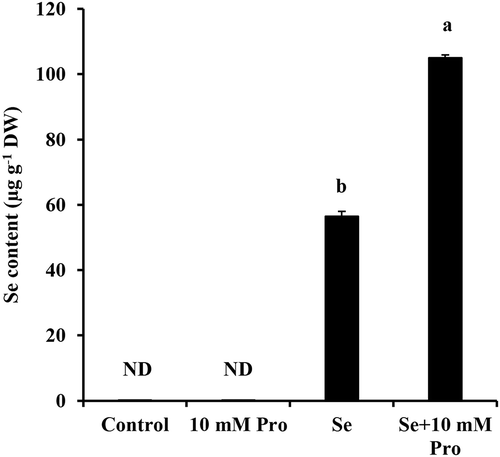 Figure 5. Effects of exogenous application of proline on Se accumulation. Selenium contents in 4-d-old Se-unadapted tobacco BY-2 suspension cells induced by proline under Se stress. Averages from three independent experiments (n = 3) per bar are shown. “ND” indicates the not detected. Error bars represent SE. Bars with the same letters are not significantly different at P < 0.05.
