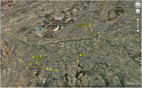Figure 9. Google earth screenshot showing 860 TinTs in 28,000 sq. km.