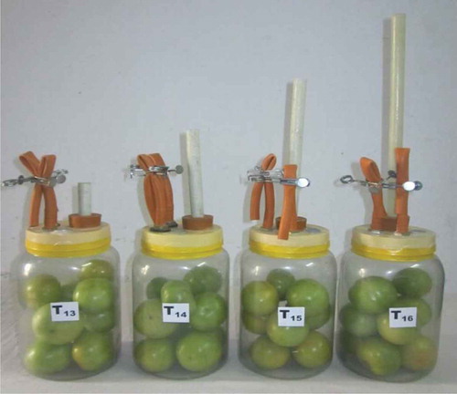 Figure 2. Experimental setup of diffusion channel system for storage of tomato.