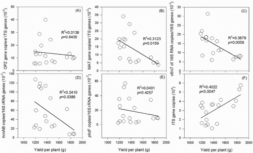 Figure 5. Correlations between yield of cucumbers per plant and relative abundances of F. oxysporum f. sp. cucumerinum (A), F. oxysporum (B), pseudomonas (C), HCN-pseudomonas (D), phenazine-producing pseudomonas (E), and abundance of fungi (F).