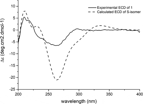 Figure 3. The experimental ECD spectrum of compound 1 and the calculated one for its S-isomer.