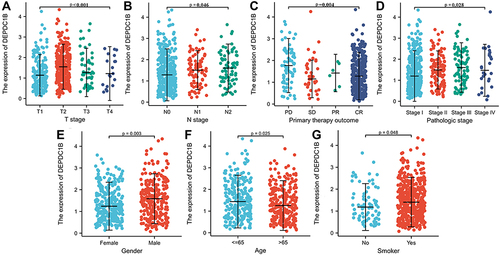 Figure 2 Association of DEPDC1B expression with clinicopathologic characteristics in lung adenocarcinoma (LUAD): (A) T stage, (B) N stage, (C) primary therapy outcome, (D) pathologic stage, (E) gender, (F) age, and (G) smoker.