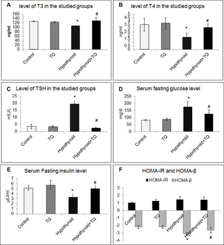 Figure 1 Effect of Thymoquinone on serum level of T3 (A), T4 (B), TSH (C), fasting insulin (D) and glucose (E), HOMA-IR and HOMA-β (F). *Significantly different compared to the control group (p<0.05). #Significantly different compared to the Hypothyroid group (p<0.05).