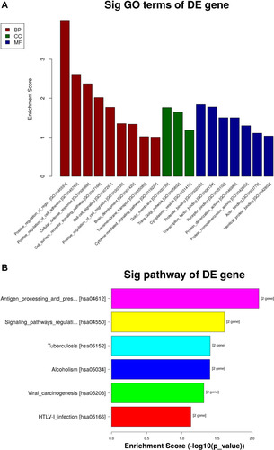 Figure 3 Characterization and molecular functional analysis of differentially expressed genes comparing ISO induced-acne flare-up patients with healthy controls. Comparison of the gene profiles of ISO-induced acne flare-up patients and healthy control subjects revealed expression changes in 57 genes. Molecular pathways analysis of the genes was carried out using the Kyoto Encyclopedia of Genes and Genomes (KEGG) database (http://www.genome.jp/kegg/genes.html). Functional annotations for the genes were carried out using Gene Ontology (GO). The Gene Ontology project provides a controlled vocabulary to describe gene and gene product attributes in any organism (http://www.geneontology.org). (A) GO significant enrichment analysis revealed that the 34 upregulated genes were mainly involved in protease binding, transcription factor binding, and receptor binding in molecular function, Golgi cellular component; positive regulation of regulatory T cell differentiation, positive regulation of cell adhesion, cellular defense response, cell surface receptor signaling pathway and cell-cell signaling in biological process. (B) The 23 downregulated genes were involved in antigen processing and presentation, cytokine production, and the TGF-beta receptor signaling pathway.