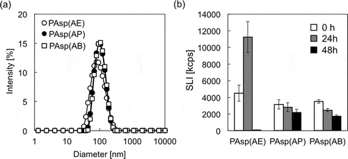 Figure 6. (a) Size distribution histograms of mRNA-loaded PICs prepared from PAsp(AE) (○), PAsp(AP) (●), and PAsp(AB) (□); and (b) changes in SLI of mRNA-loaded PICs after 0 h (white bar), 24 h (gray bar), and 48 h (black bar) incubation at 37 °C and pH 7.4. Results are expressed as mean ± SD (n = 3).
