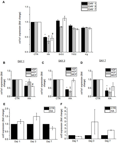 Figure 4 HA particles reduce col1α1 gene expression in primary HDFs, HCFs and MCFs. (A) Graph shows the levels of col1α1 gene expression at days 1, 3 and 7 in untreated controls (CTR) and HA, SiO2, TiO2 and Ag particle treated cells. Graphs show the levels of col1α1 gene expression at (B) day 1, (C) day 3 and (D) day 7 in untreated (CTR) and HA treated HDFs, HCFs and MCFs. (E) Levels of col3 and (F) col5 gene expression at day 1, day 3 and day 7 in untreated (CTR) and HA treated HDFs. Quantitative values are expressed as means ± S.E.M, n = 3. *, ‡, #Stand for p < 0.05 compared to CTR in HDFs, HCFs and MCFs, respectively.