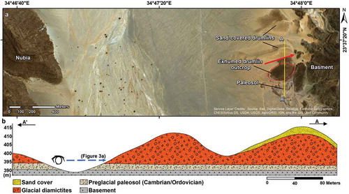 Figure 6. Wadi El-Naam drumlin hills. (a) Arc GIS base map image for the drumlin hills of Wadi El-Naam between the basement (east) and the PG-NSF (west). (b) Cross section along the AAʹ line.