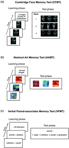 Figure 1. Schematic description of three main memory tests. In the learning phase, shown at left, the participant learns novel target stimuli. In the test phase, shown at right, the participant identifies the target stimulus amongst distractors. See text for details of each test. Stimuli shown in a and b are different from, but chosen to be representative of, those used in the actual tests. To view a colour version of this figure, please see the online issue of the Journal.