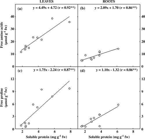 Figure 4.  Correlation between soluble protein and amino acids and proline contents in five peanut genotypes after 20 days grown under control or withholding water conditions. (a) Soluble protein vs. amino acids in leaves and (b) in roots; (c) soluble protein vs. proline in leaves and (d) in roots. r = correlation coefficient; ** = statistically significant (p<0.01).