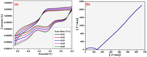 Figure 14. (a) CV plots of CuO-graphite electrode at the scan rate of 0.01–0.05 V/s in 0.1 M KCl and (b) Nyquist plots of CuO-graphite electrode in 0.1 M KCl electrolyte.