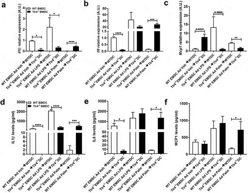 Figure 3. Assessment of inflammatory markers in WT and Tlr4−/- BMDCs treated with EMSC derived adipocyte conditioned media. Relative gene expression of inflammatory markers – (a) Il1β (b) Il6 (c) Mcp1. ELISA estimation of (d) IL1β (e) IL6 (f) MCP1 in BMDC (DC) after treatment with EMSC derived adipocyte (ad) conditioned media. The experimental groups are: WT BMDC stimulated with WT EMSC Ad Vehicle/Control Conditioned Media (WT EMSC Ad Veh → WTDC), Tlr4−/- BMDC stimulated with Tlr4−/- EMSC Ad Vehicle/Control Conditioned Media (Tlr4−/- EMSC Ad Veh → Tlr4−/- DC), WT BMDC stimulated with Tlr4−/- EMSC Ad treated with LPS (Tlr4−/- EMSC Ad LPS → WTDC), Tlr4−/- BMDC stimulated with WT EMSC Ad treated with LPS (WT EMSC Ad LPS → Tlr4−/- DC), WT BMDC stimulated with Tlr4−/- EMSC Ad treated with Palmitate (Tlr4−/- EMSC Ad Palm → WTDC), and Tlr4−/- BMDC stimulated with WT EMSC Ad treated with Palmitate (WT EMSC Ad Palm → Tlr4−/- DC). N = 5–6 per condition; Experiments were performed in duplicates and data is representative of 3–4 independent experiments. One-way ANOVA and Student’s t-test was performed for (a-f). Statistical significance is indicated by *p < 0.05, **p < 0.01, ***p < 0.001, ****p < 0.0001; error bars are SEM. Ad = adipocyte; DC = dendritic cells, Veh = Vehicle, Palm = Palmitate