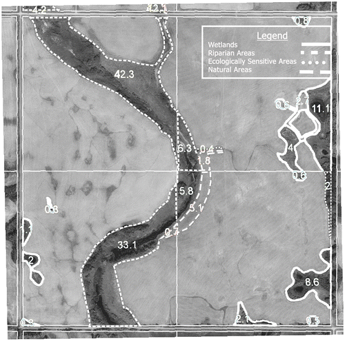 Figure 1. This orthophoto shows a sample measurement of wetlands, riparian, natural and ecologically sensitive areas. Their size is indicated by the superimposed white units.