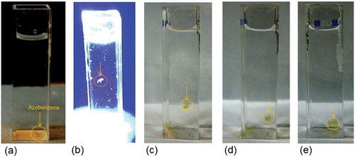 Figure 3. Density change in an azobenzene containing LC film. (a) Before UV exposure, the film is at the bottom of flask, (b) snapshot of films during exposure showing the film starts to float, and (c–e) after removing of UV light, the film sinks and reaches its initial position at the bottom.
