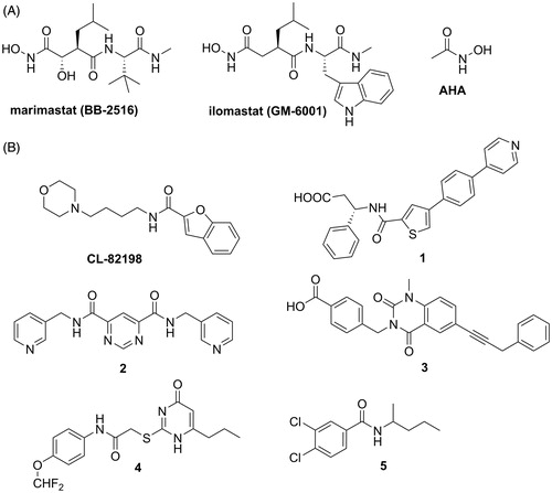 Figure 1. Structures of representative MMPIs. (A) Broad-spectrum MMPIs and AHA. (B) Non-zinc binding MMPIs.