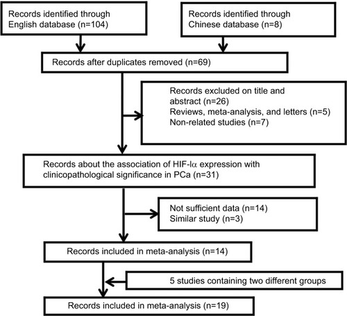 Figure 1 Flow diagram of the study selection process in the meta-analysis.Abbreviations: HIF-1α, hypoxia-inducible factor-1α; PCa, prostate cancer.