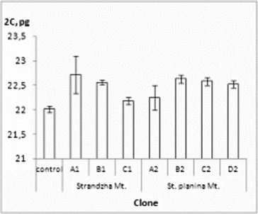 Figure 2. Genome size of the R. aculeatus in vitro clones. Values in pg ± SE. Control – native R. aculeatus plants. Internal standard – P. sativum.
