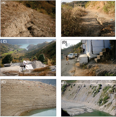 Figure 10. Collage showing the nature of collateral damage on the northern flank of the reservoir around Mohan Negi village. (A) fissured and displaced agricultural field, (B) fissured metalled road (C) and (D)damaged houses (E)debris flow fan emanating from the southern tributary streams are engraved with strand lines indicating fluctuating reservoir level and (F) after the back filling of water during high reservoir level, as the water recedes, it leaves the slack water sediment rendering the lower fertile slopes unproductive.