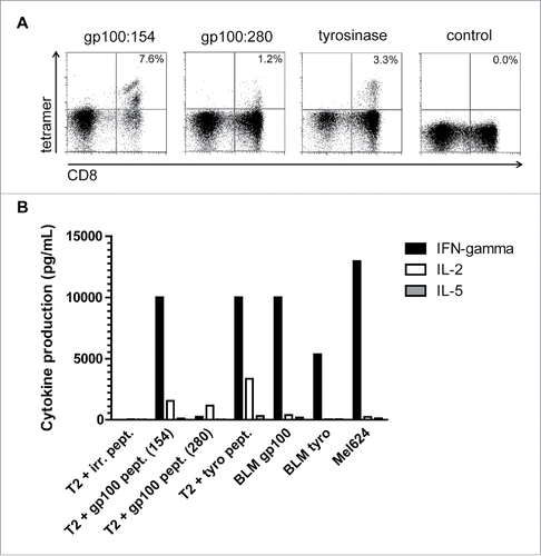 Figure 1. Tumor antigen-specific CD8+ (T)cell responses in SKIL cultures. An example is shown of a tetramer analysis of SKILs from patient II-D-12 (A). Cells were stained with tetramers encompassing the peptides gp100:154, gp100:280, tyrosinase or an irrelevant peptide (control) and with anti-CD8+ mAb. This analysis showes presence of TAA-specific CD8+ T cells against both gp100 epitopes and tyrosinase. Furthermore, a cytokine profile of the same T cells is shown after stimulation with T2 cells loaded with gp100 or tyrosinase peptide, BLM cells transfected with gp100 or tyrosinase, or MEL624 cells expressing both gp100 and tyrosinase (B). Functional TAA-specific T cells against gp100 and tyrosinase are present with a clear production of IFNγ and/or IL-2, but without IL-5 production.