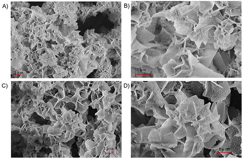 Figure 4 (A and B) SEM images of hybrid nanoflowers synthesized without ciprofloxacin. (C and D) SEM images of hybrid nanoflowers synthesized with ciprofloxacin.