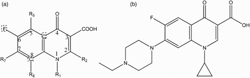 Figure 1. Chemical structure of FQs. (a) Typical generic structure of the quinolone molecule, using the accepted numbering scheme for positions on the molecule. R indicates possible sites for structural modification. Molecules at positions marked by a dashed box can also be changed. (b) The ENFX structure, the quinolone used as a hapten in this study.